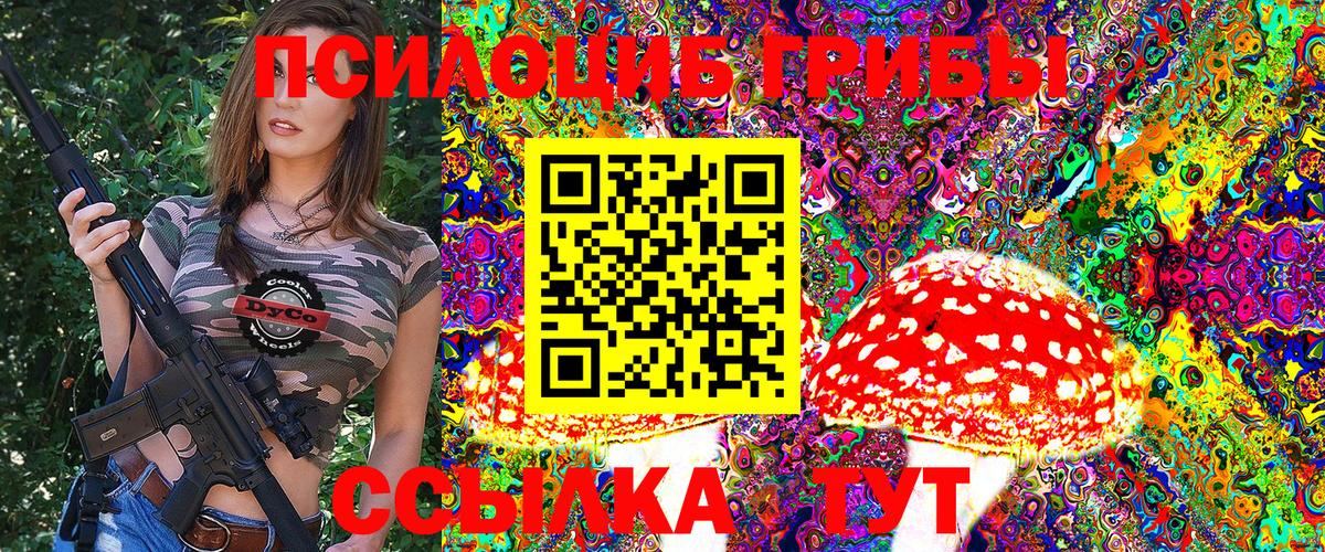 Псилоцибиновые грибы Cubensis Новокубанск