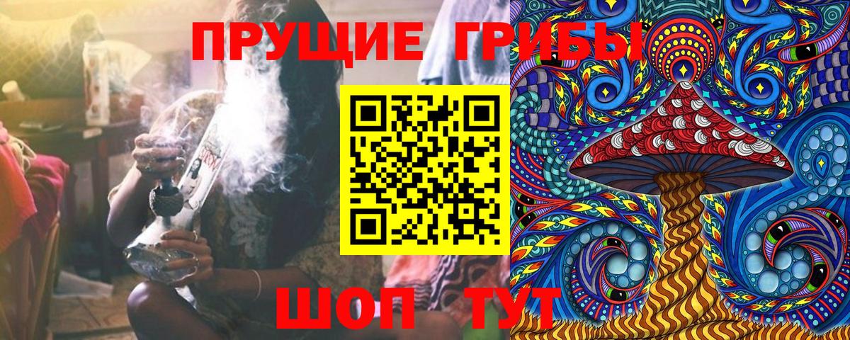 Новокубанск  Галлюциногенные грибы Psilocybine cubensis  Вход с VPN 