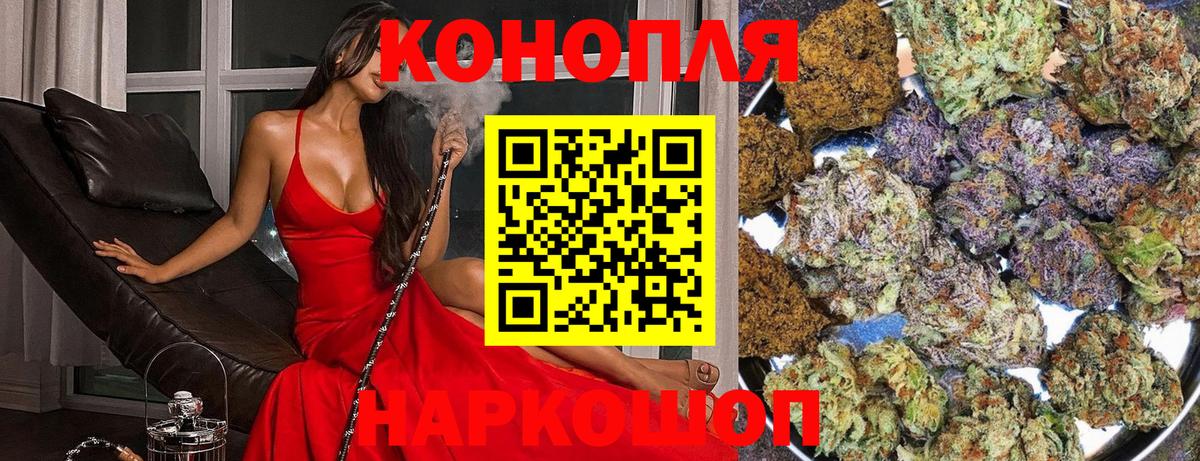 Канабис семена  Бошки марихуана семена  Новокубанск  Конопля THC 21%  Вход с VPN 